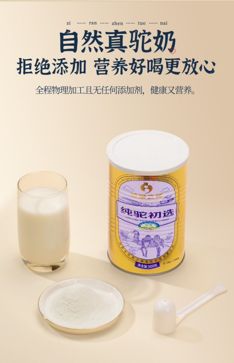 内蒙古阿拉善沙漠之神纯驼初选大量上市货源充足