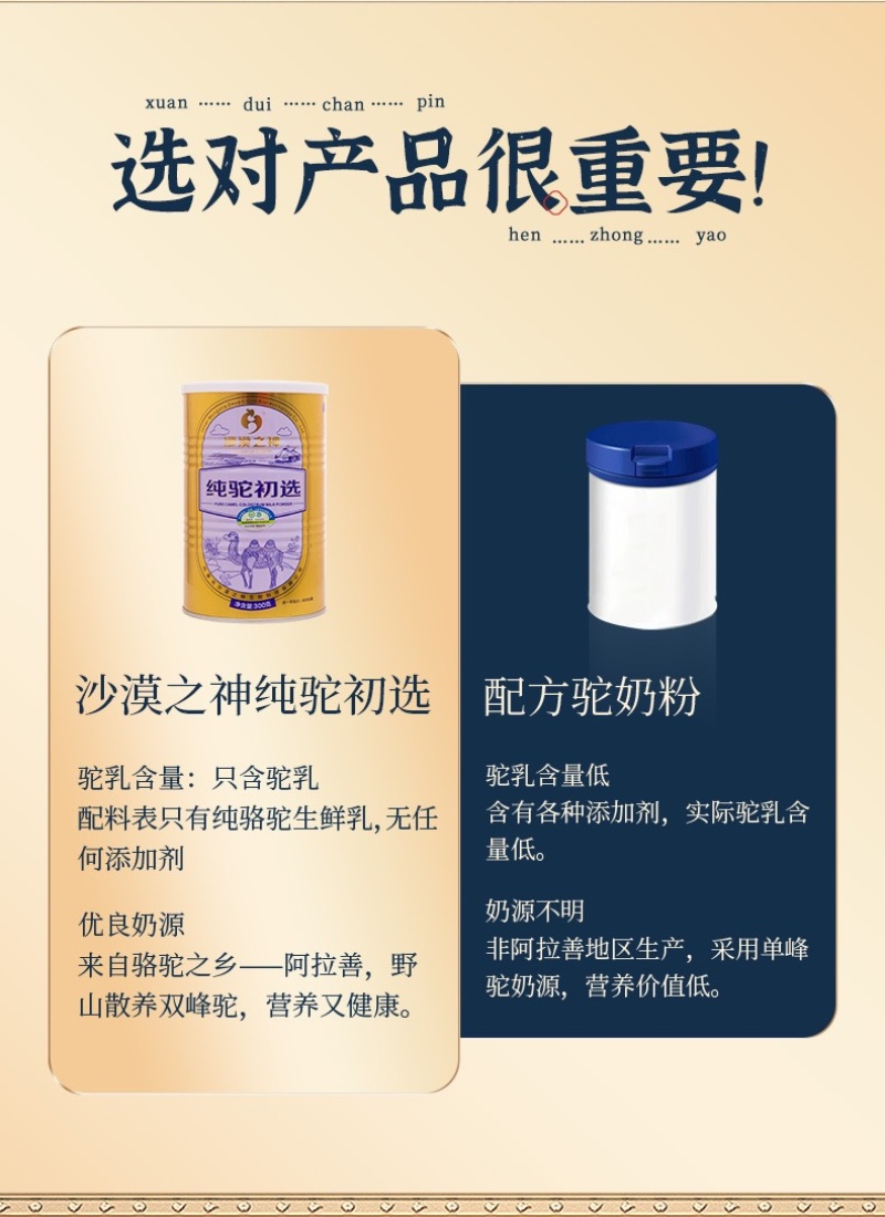 内蒙古阿拉善沙漠之神纯驼初选大量上市货源充足