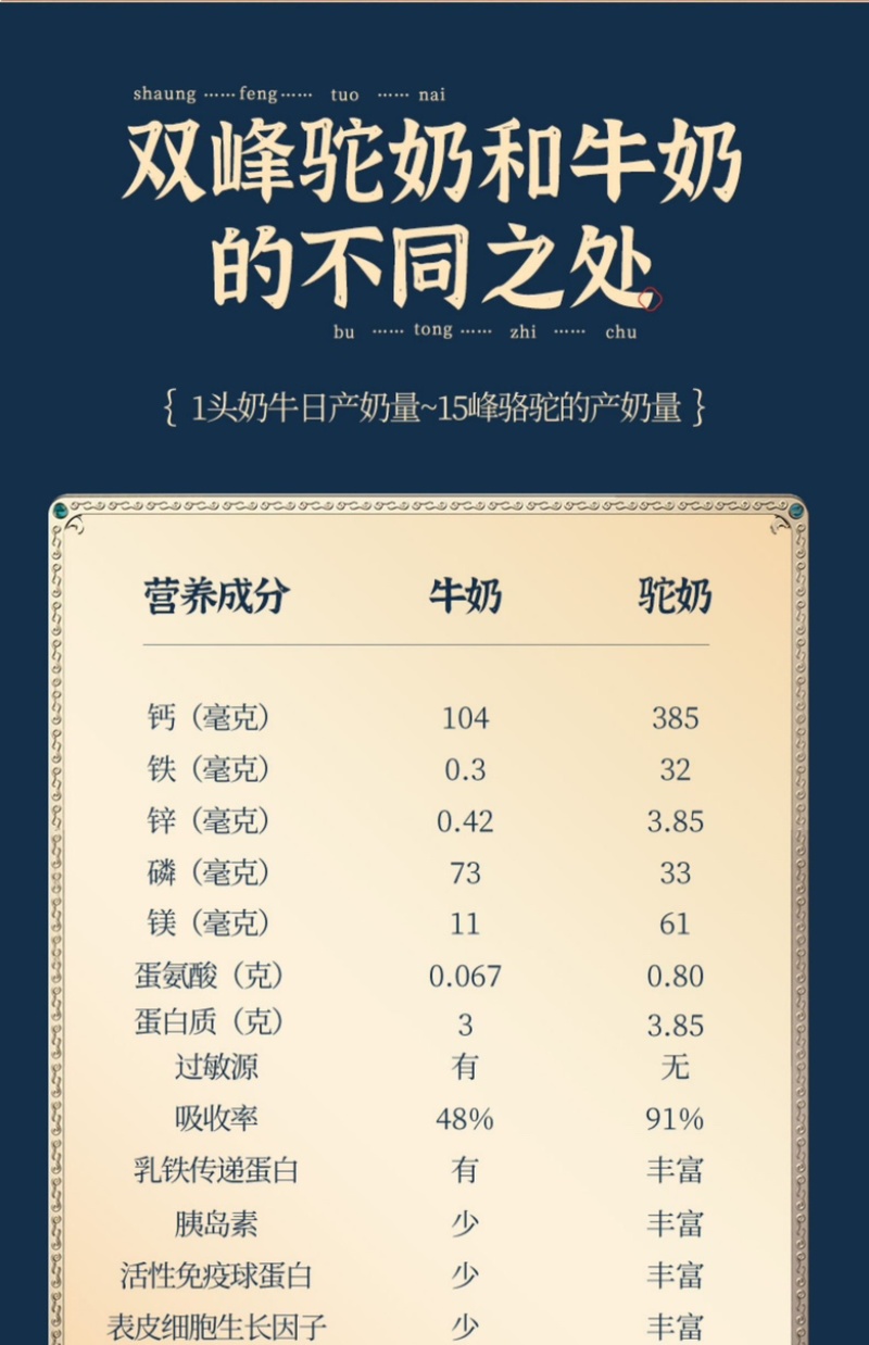内蒙古阿拉善沙漠之神纯驼初选大量上市货源充足