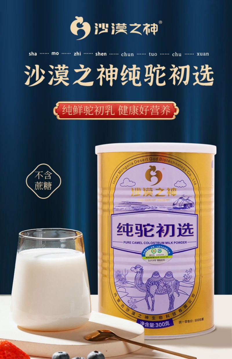 内蒙古阿拉善沙漠之神纯驼初选大量上市货源充足