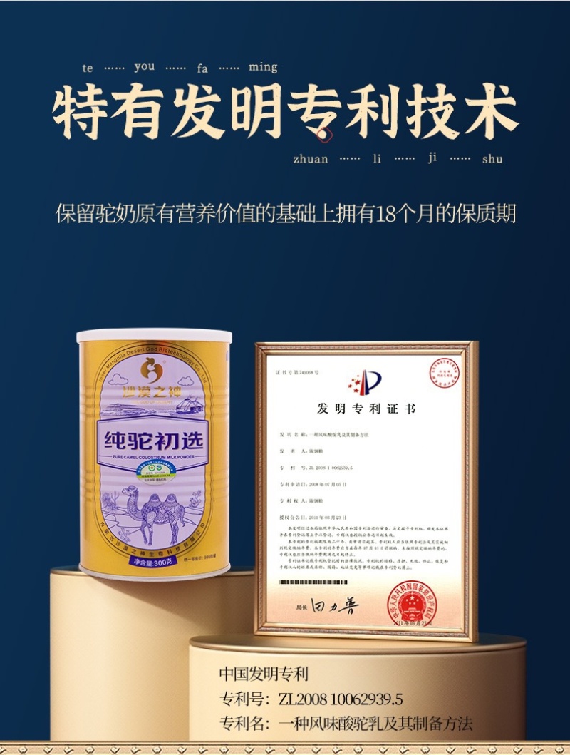 内蒙古阿拉善沙漠之神纯驼初选大量上市货源充足