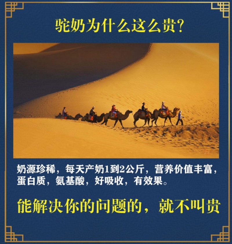 内蒙古阿拉善沙漠之神纯驼乳粉大量上市货源充足
