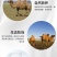 内蒙古阿拉善沙漠之神纯驼乳粉儿童型360克。