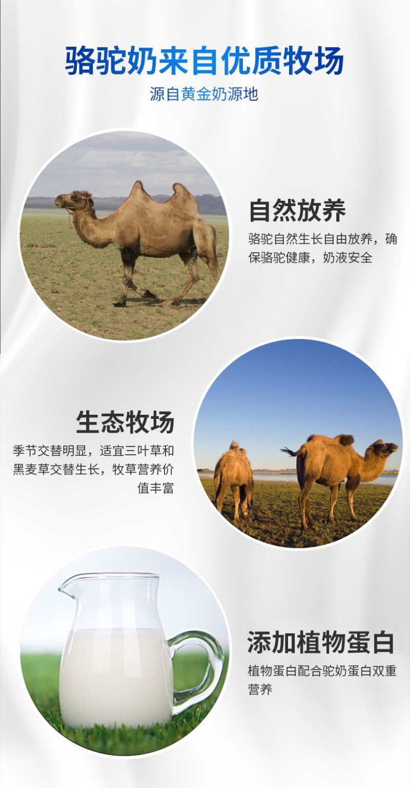 内蒙古阿拉善沙漠之神纯驼乳粉儿童型360克。