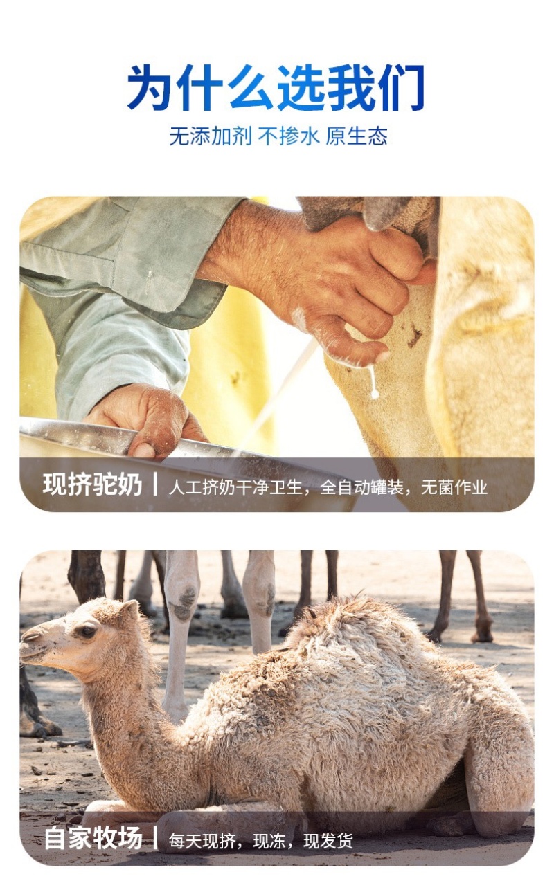 内蒙古阿拉善沙漠之神纯驼乳粉儿童型360克。