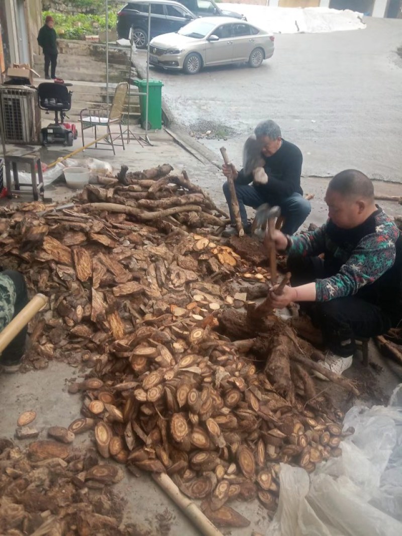 葛根柴葛粉葛干块鲜货都有