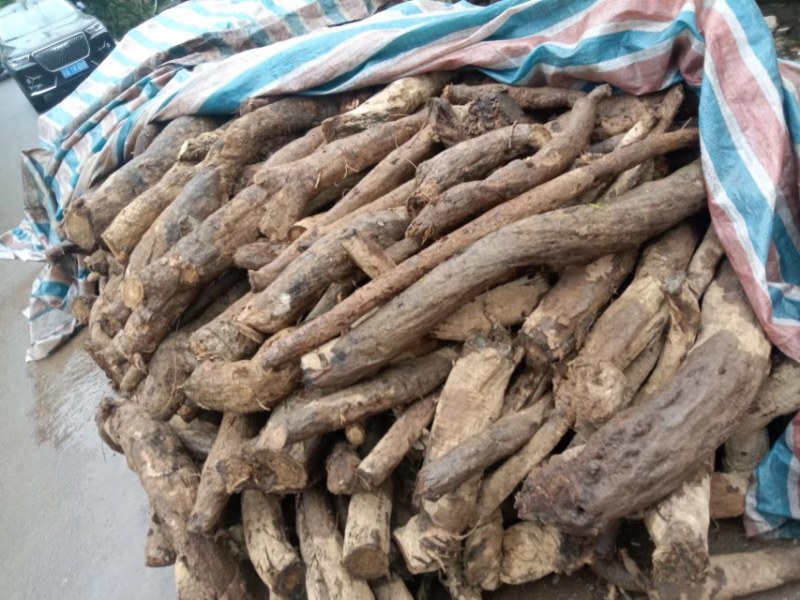葛根柴葛粉葛干块鲜货都有