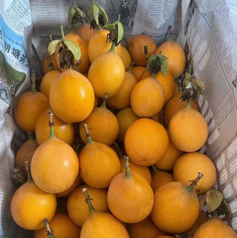热情果