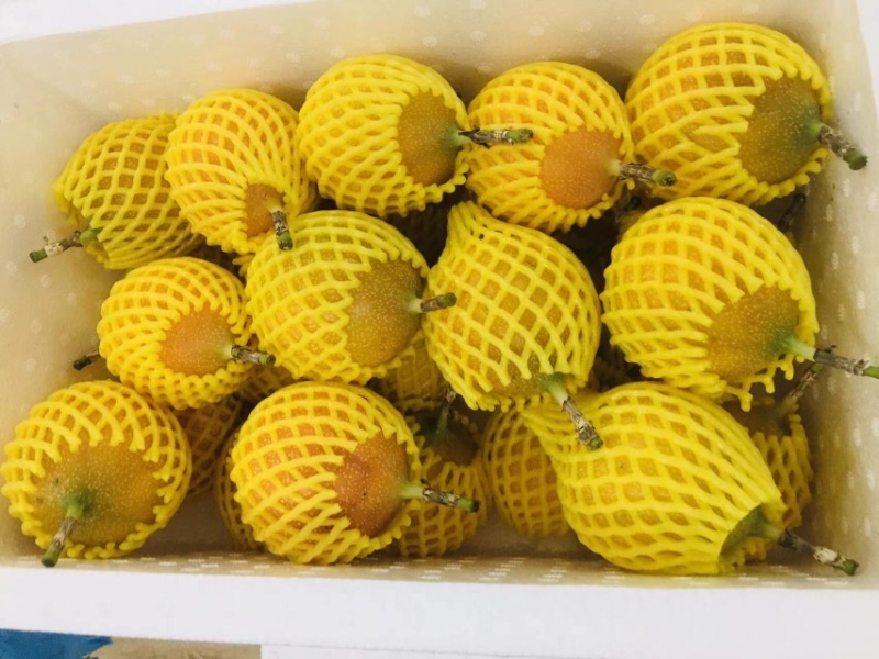 热情果