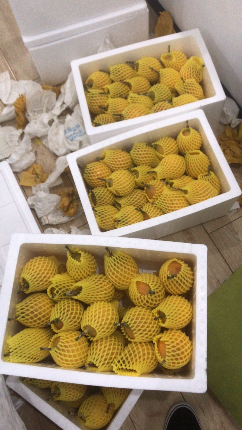 热情果