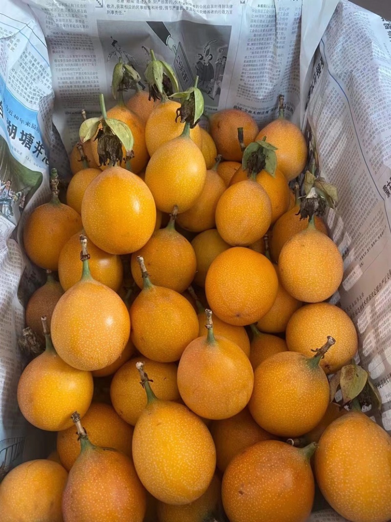 热情果