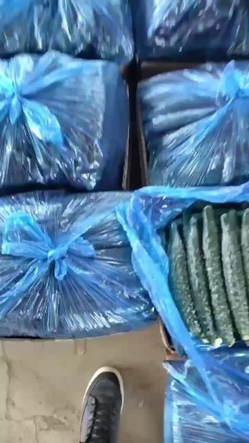 滑县黄瓜，干花密刺，条直，产地直发，货源充足，质量有保障