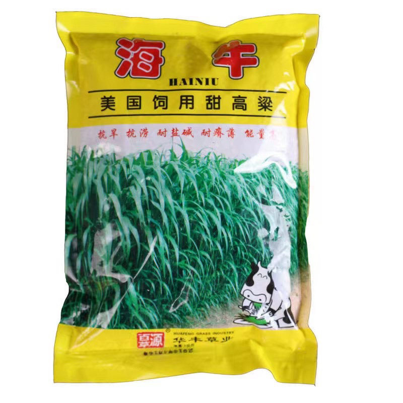 大力士进口饲用甜高粱牧草种子，进口品种