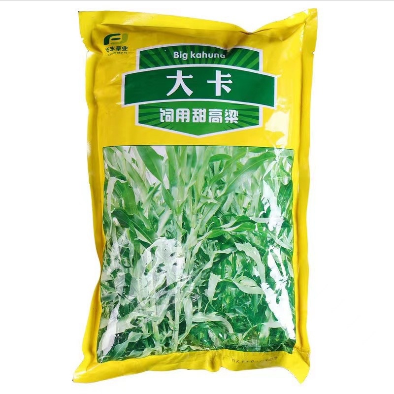 大力士进口饲用甜高粱牧草种子，进口品种