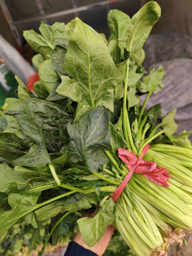 菠菜