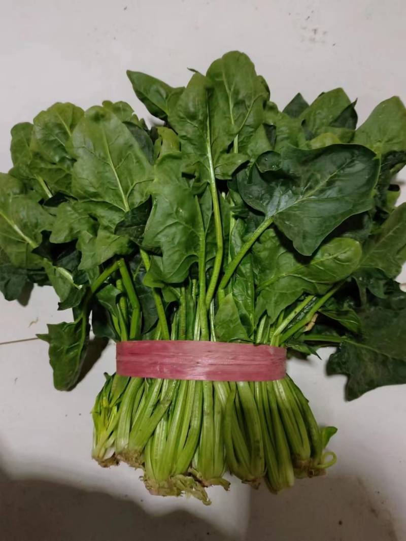 菠菜