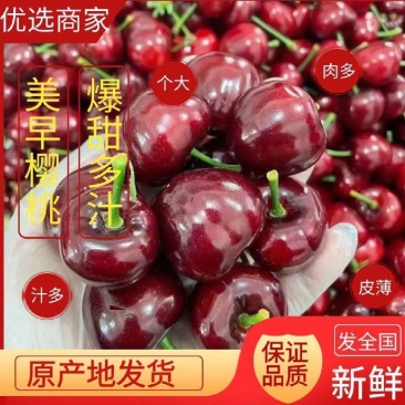 甘肃樱桃大量上市，供应商超平台批发，售后保证