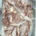 乳牛肉板，乳牛牛前。