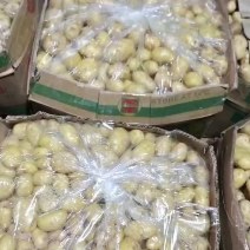 玲珑小土豆