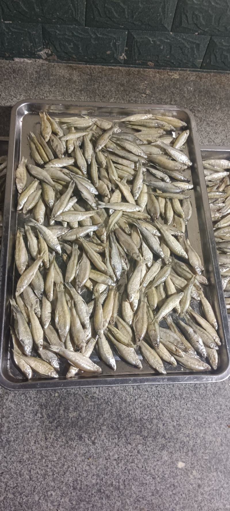 火焙鱼，破肚麦穗，马口鱼火炕，不是晒干的