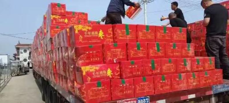 红枣枣2026新货上市甜度高产地供应电商货源可代发