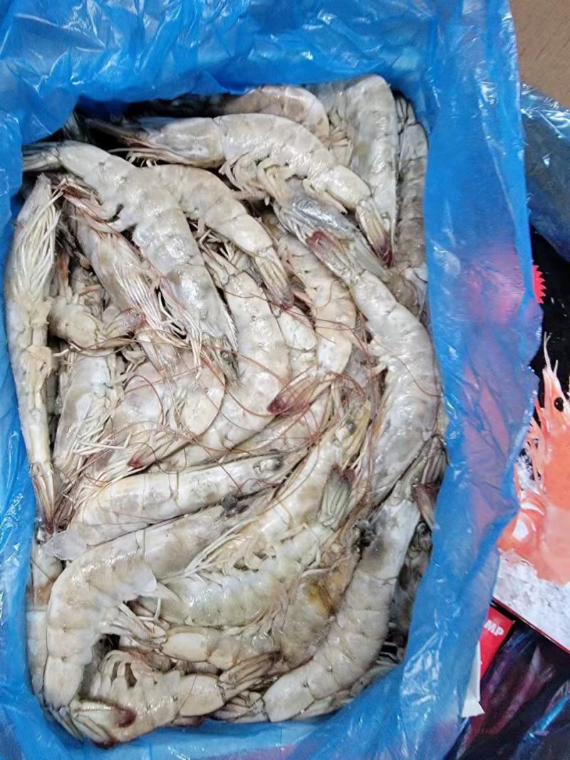 欧玛沙盐冻大虾---鲜冻大虾1.5KG份量足-批发代发货