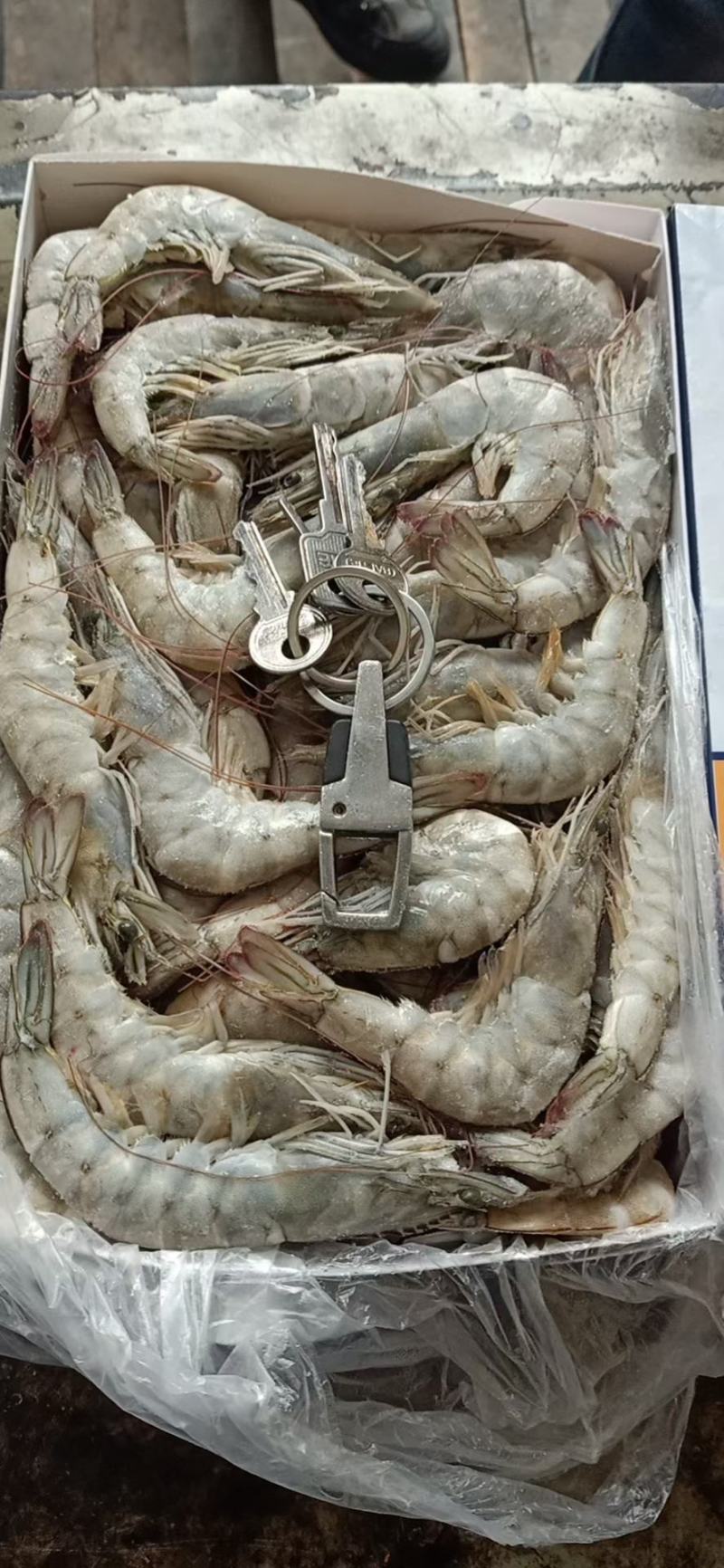 欧玛沙盐冻大虾---鲜冻大虾1.5KG份量足-批发代发货