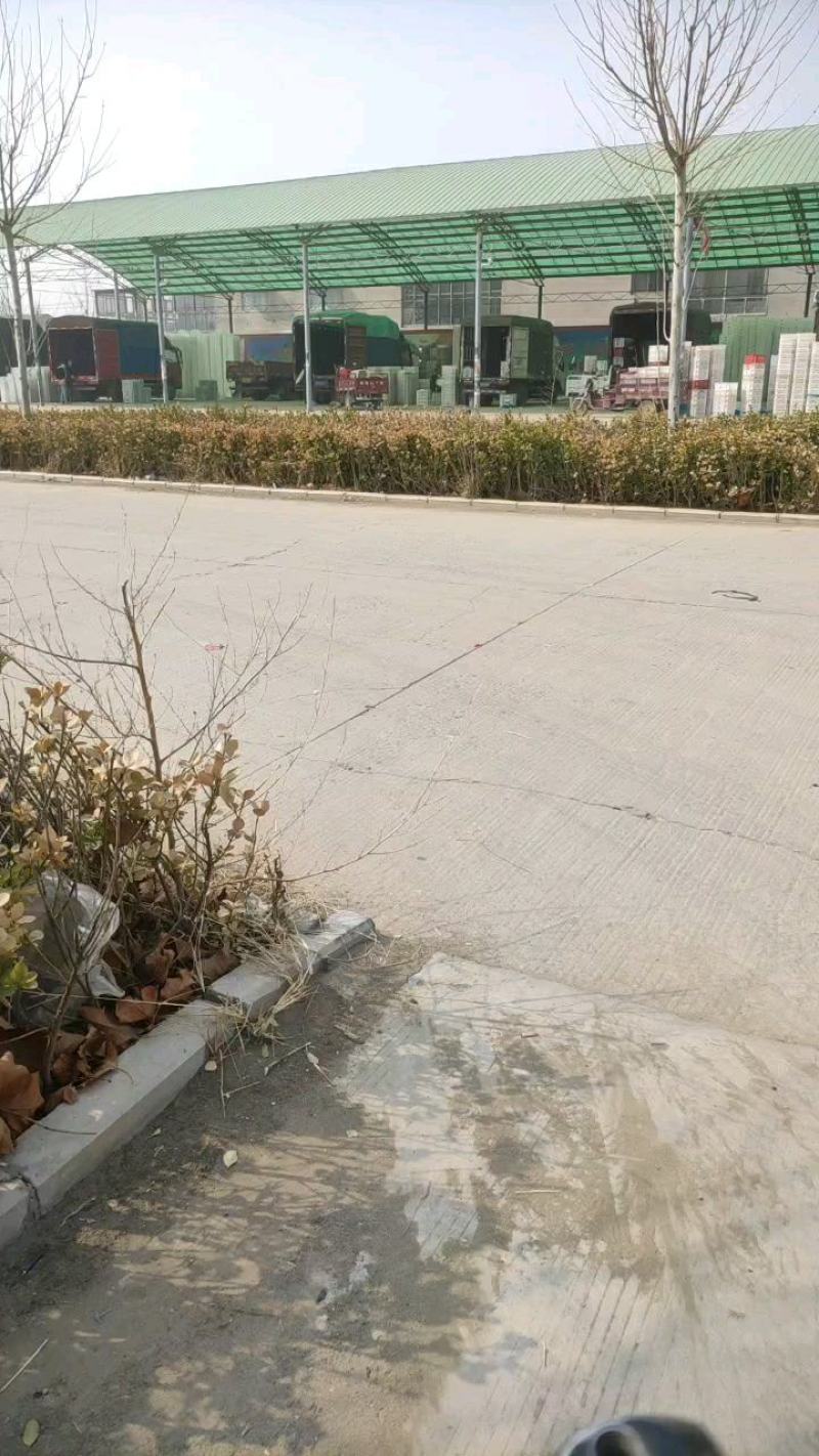 密刺黄瓜质量杠杠的，量大，上下一样，油亮型，口感好。