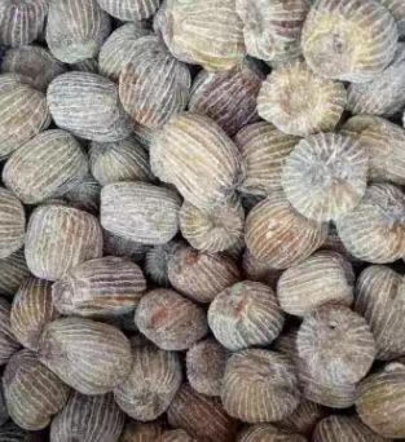 水晶阿胶蜜枣干蜜枣包粽子枣糕用加工厂供应品质保证