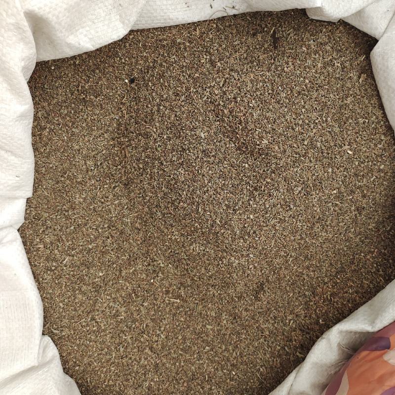 地肤子，新货，一手货源，保质保量，一件代发，批发各种药材