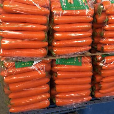 产地直销红萝卜，大量供应超市，市场，电商，食堂等红萝卜！