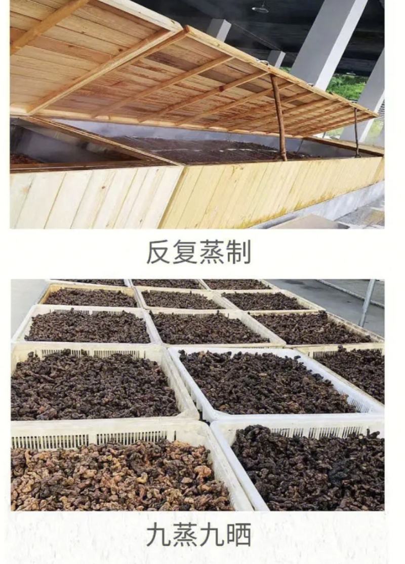广西百色市本地野生黄精，十蒸九晒制黄精别称野仙姜、土灵芝
