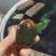 湖南特大松花皮蛋批发无铅工艺，口感好，湖南胜品蛋业出品