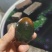 湖南特大松花皮蛋批发无铅工艺，口感好，湖南胜品蛋业出品