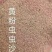 虫沙