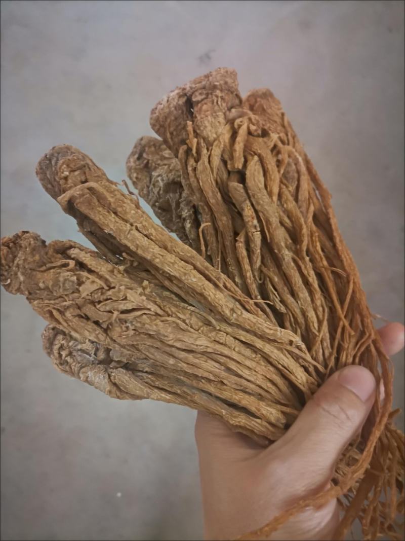 当归甘肃带硫岷县当归新货切当归片配当归黄芪党参非当