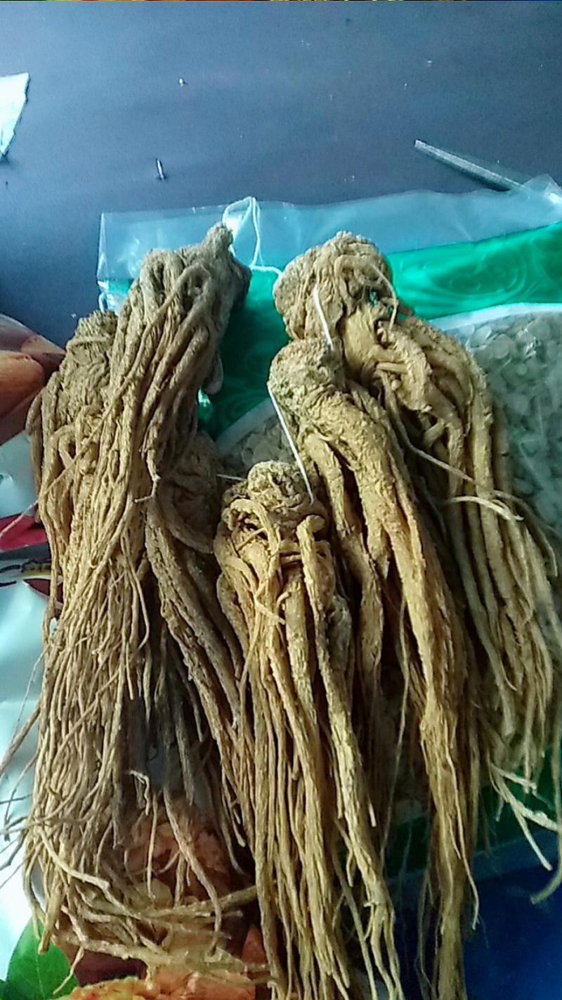 当归甘肃带硫岷县当归新货切当归片配当归黄芪党参非当