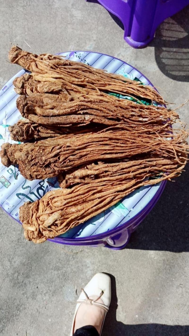 当归甘肃带硫岷县当归新货切当归片配当归黄芪党参非当