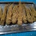 当归甘肃带硫岷县当归新货切当归片配当归黄芪党参非当