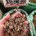 中药材鸡屎藤新货货源充足批发零售