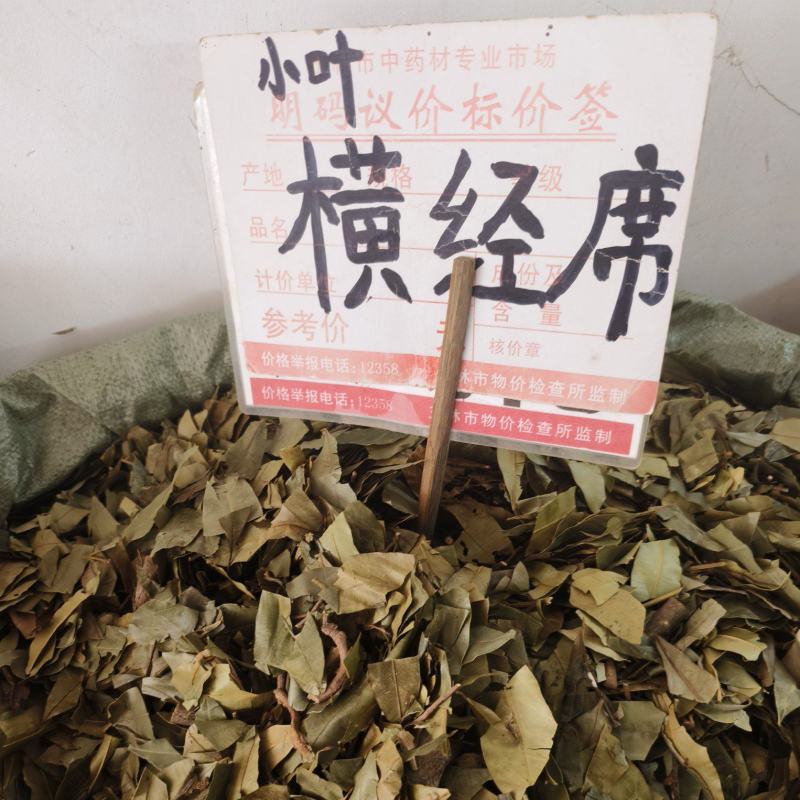 中药材小叶横经席新货货源充足批发零售