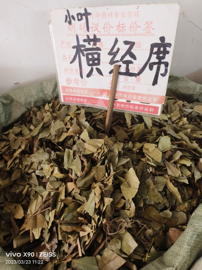 中药材小叶横经席新货货源充足批发零售