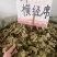中药材小叶横经席新货货源充足批发零售