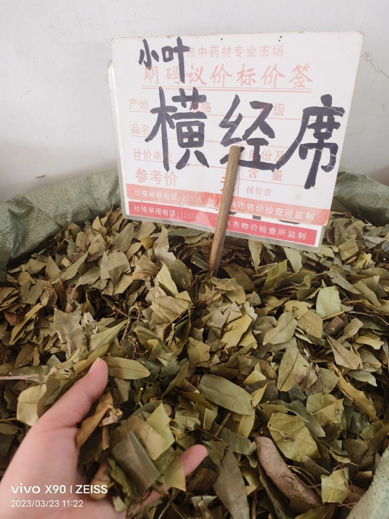 中药材小叶横经席新货货源充足批发零售