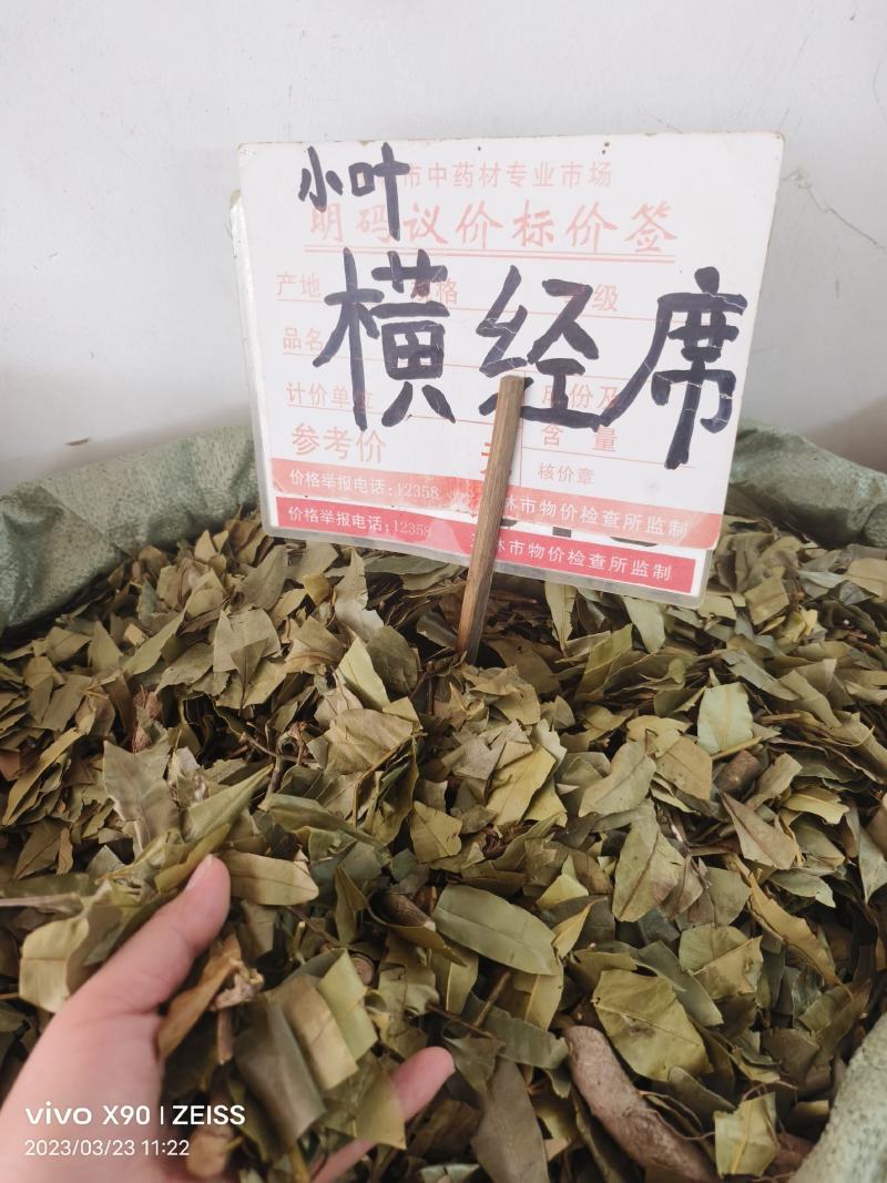 中药材小叶横经席新货货源充足批发零售