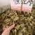 中药材小叶横经席新货货源充足批发零售