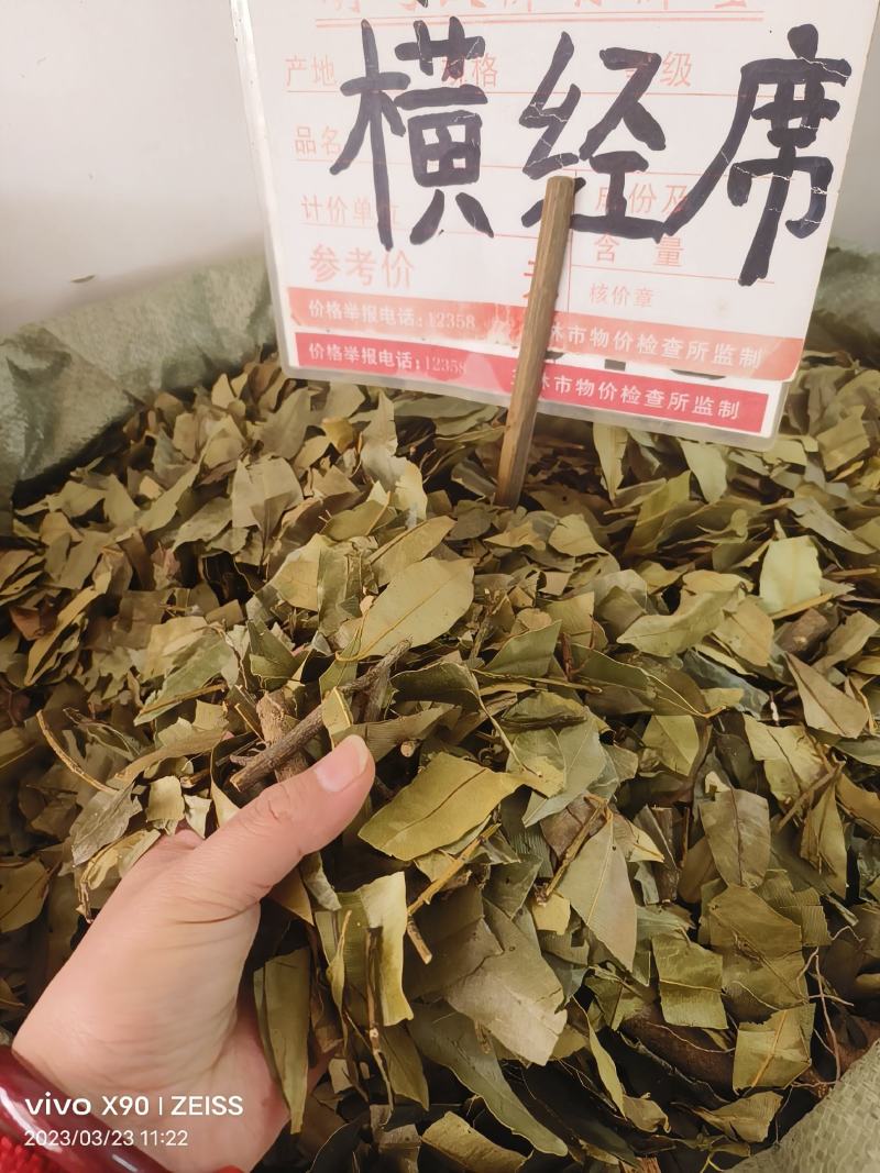 中药材小叶横经席新货货源充足批发零售