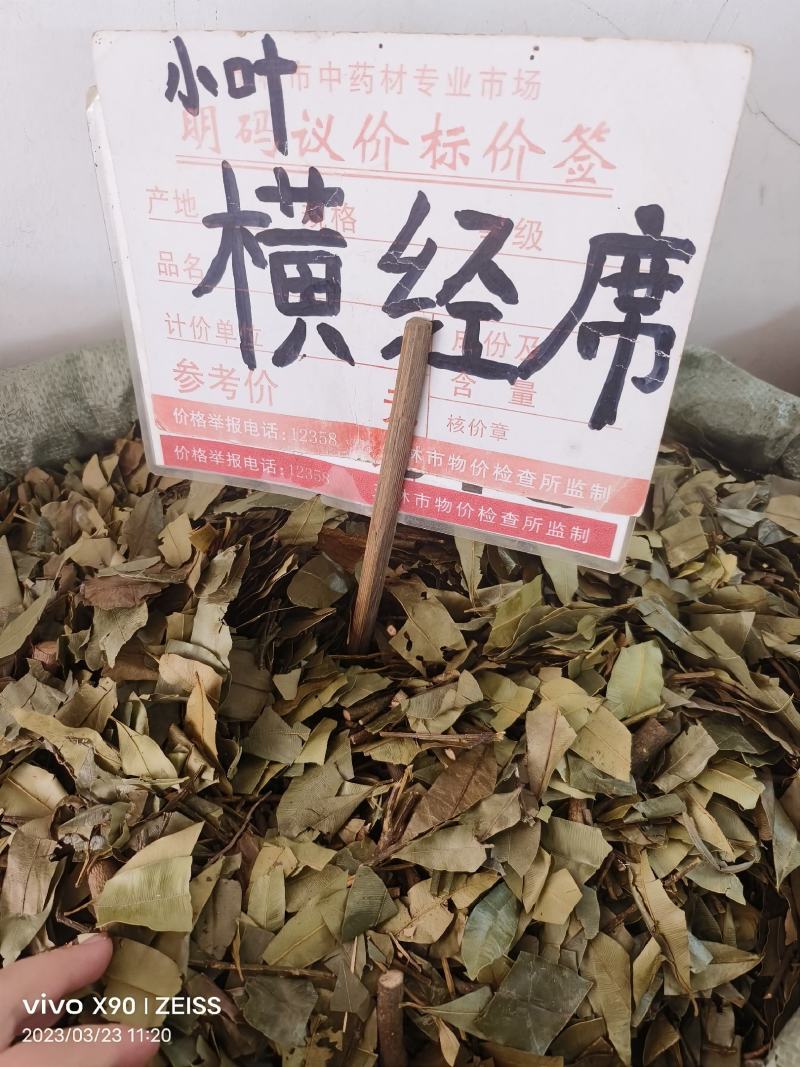 中药材小叶横经席新货货源充足批发零售