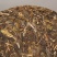 批发普洱茶勐海南糯山普洱勐海早春生茶357g七子饼