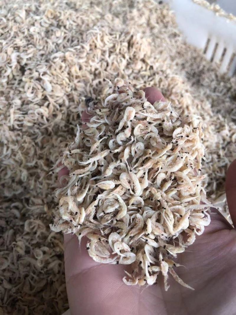 竹节虾，淡干虾皮量大从优欢迎全国老板前来考察洽谈